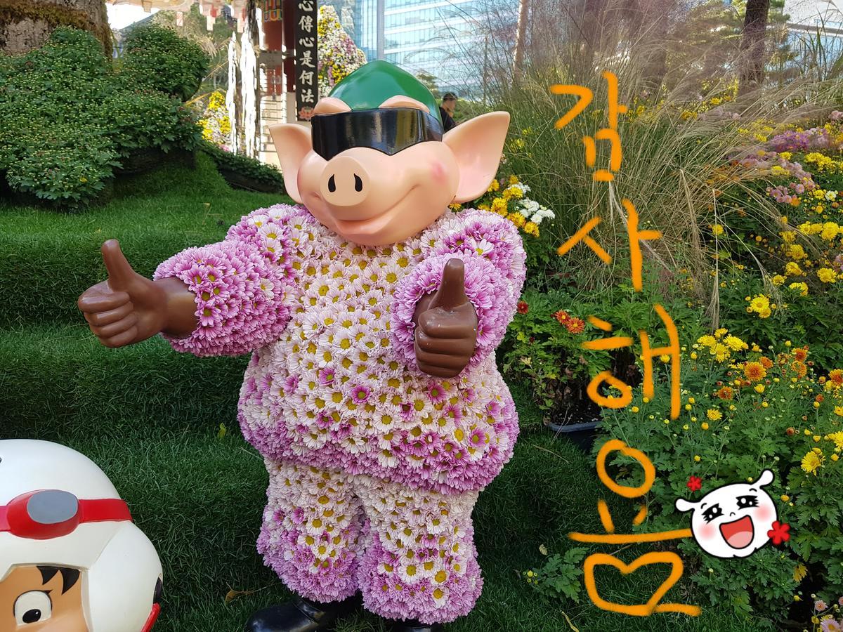 Homestay Eve Seoul Exterior photo